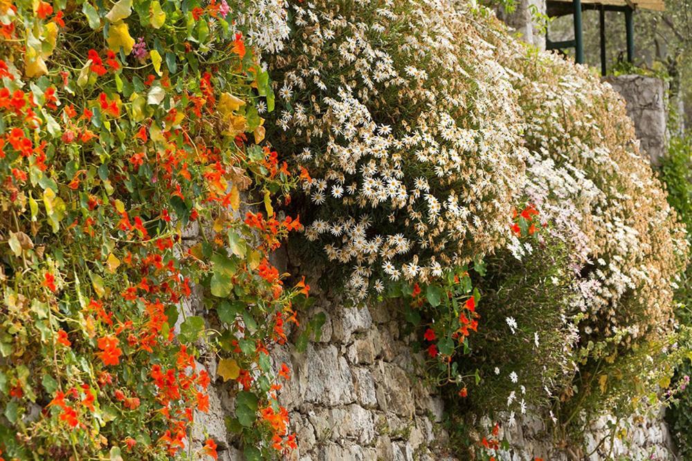 Mas Thomasine Sejour Romantique Au Calme Peillon ภายนอก รูปภาพ